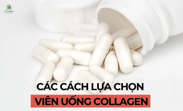 Các Cách Lựa Chọn Viên Uống Collagen Cho Da Khỏe Đẹp