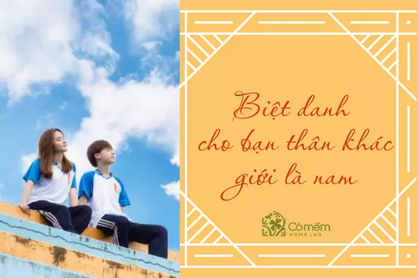 999+ Biệt Danh Cho Bạn Thân “Cực Lầy, Bá Đạo, Siêu Ngầu, Bựa”